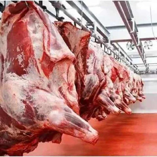 Buffalo Meat Exporters